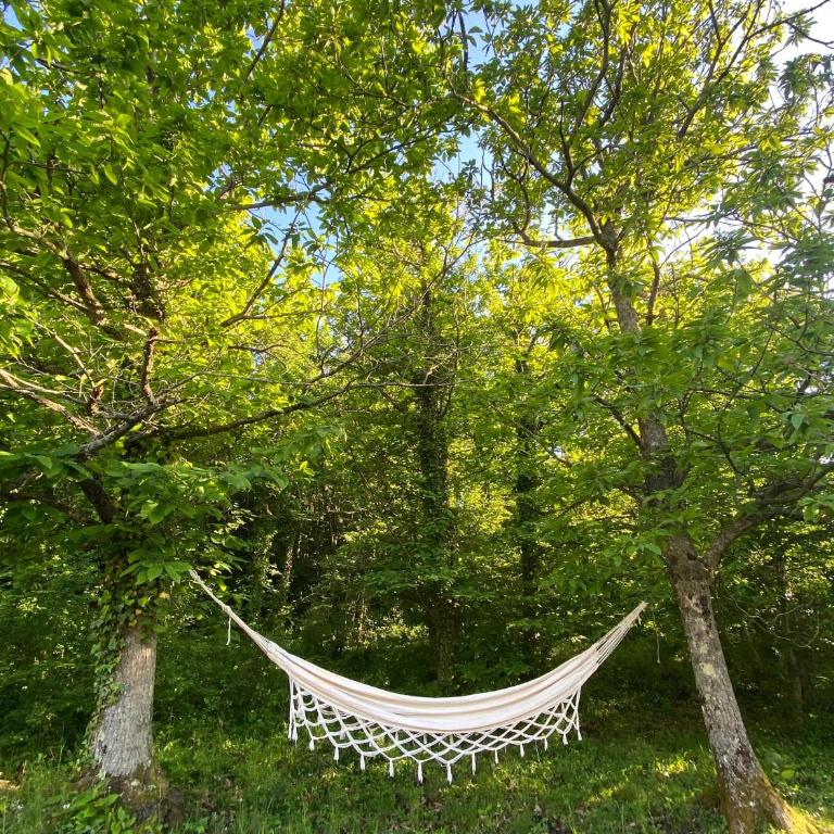 La Quercia e il Castagno Country & Relax - Casa con 2 Camere da Letto - 11