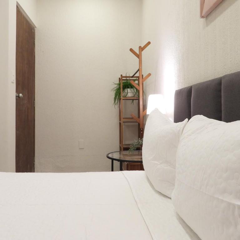 Singular Reforma - Double Room with Private External Bathroom - 12