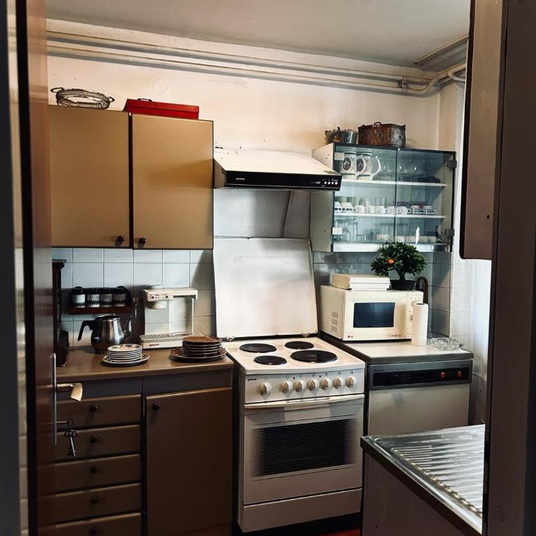 Rent a vintage house in Sarajevo - Kuća sa 1 Spavaćom Sobom - 9
