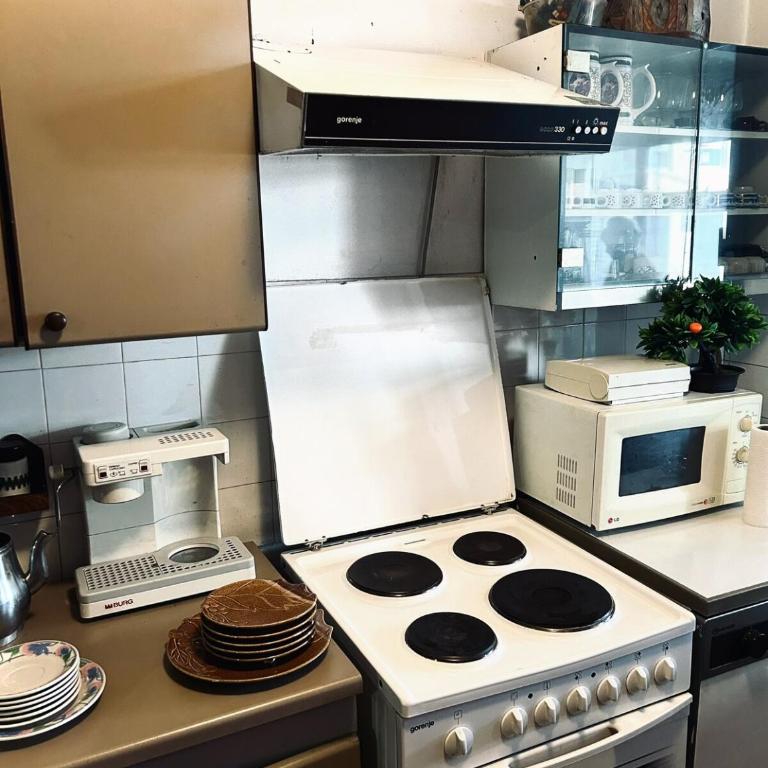 Rent a vintage house in Sarajevo - Kuća sa 1 Spavaćom Sobom - 7