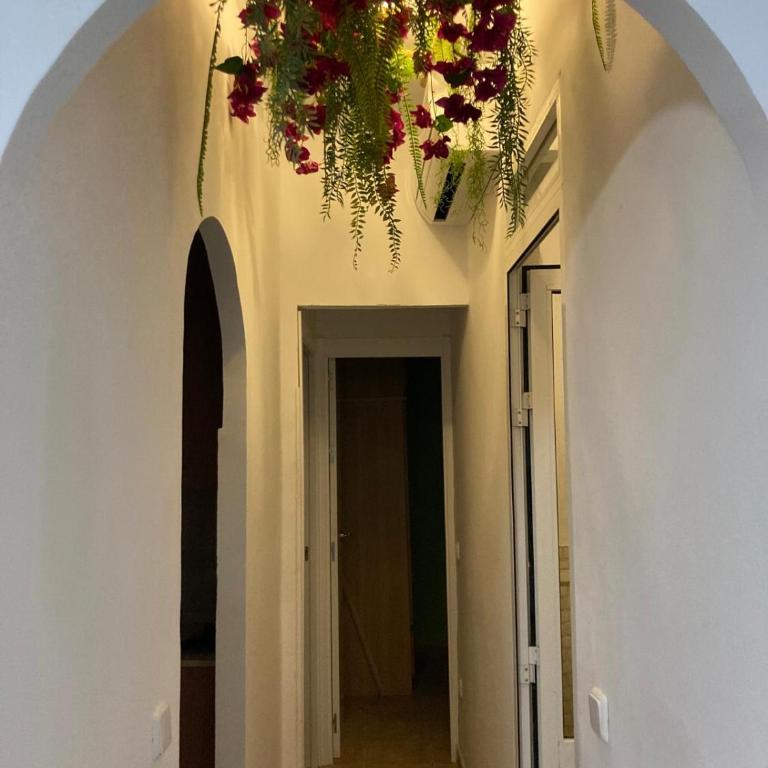 Céntrico apartamento junto al pimiento - Apartamento de 3 dormitorios - 16