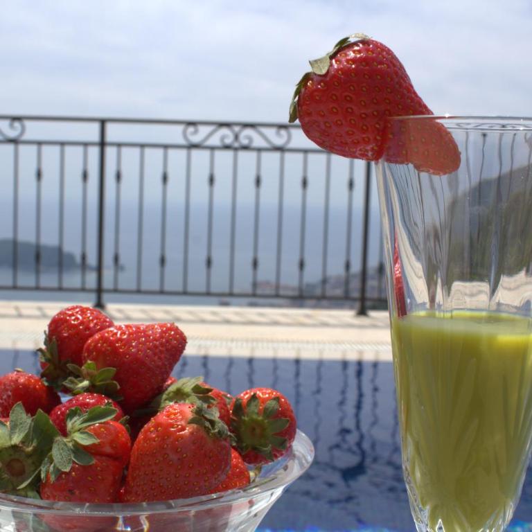 Luxury Villa Flower - Vila sa Sopstvenim Bazenom - 39