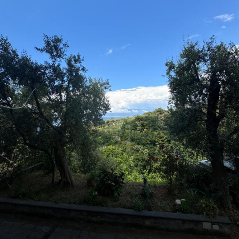 Villa Rosmary - One-Bedroom Apartment - 23