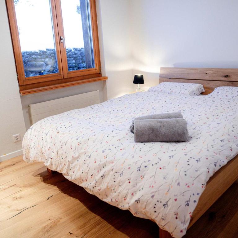 Stylish Lakeview Apartment Balcony & Free Parking - Apartment - 49