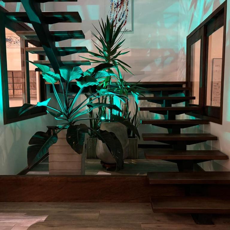 CASA DE LUXURY Santa Helena - Deluxe Villa - 10