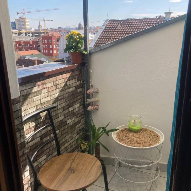 Apartmani Slovacka - Apartman sa 1 Spavaćom Sobom - 3