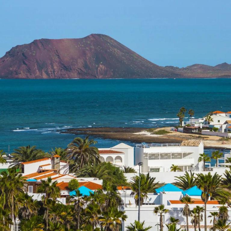 Paraíso Lulú - Apartamento de 1 dormitorio - 22