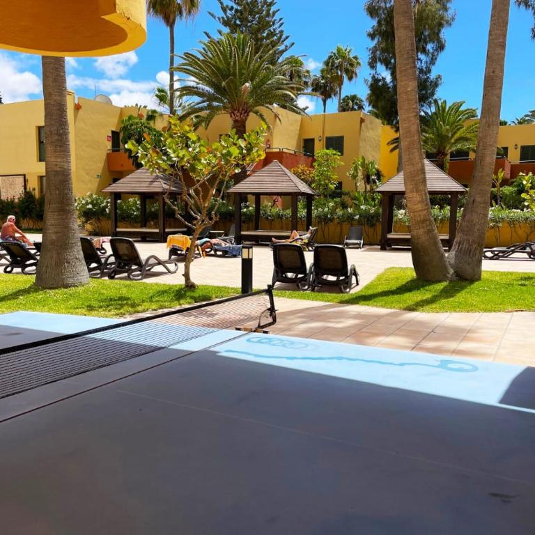 Paraíso Lulú - Apartamento de 1 dormitorio - 20