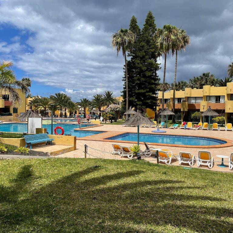 Paraíso Lulú - Apartamento de 1 dormitorio - 15