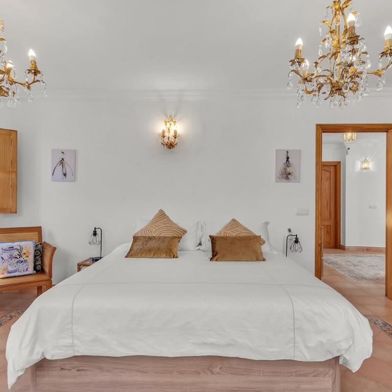 Casa Theresa - Casa Unifamiliar de 2 dormitorios - 16