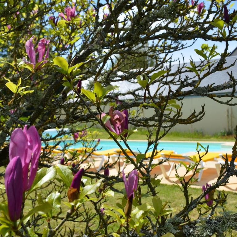 Manoir Du Parc (Adults only) - Small Double Room - Manor - 4