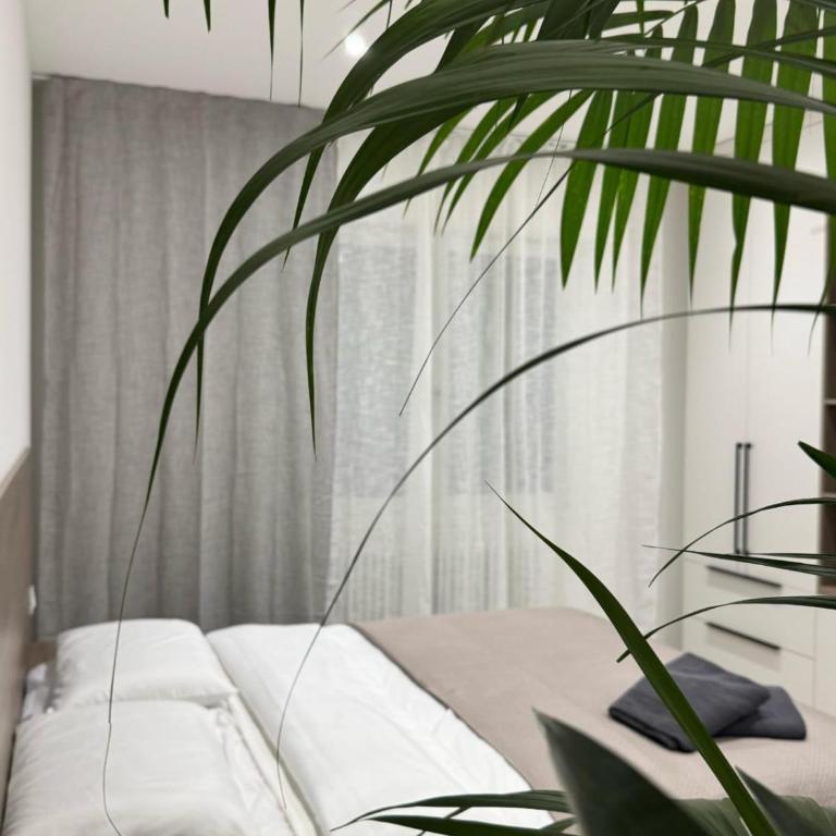 Dolce Risveglio - Appartamento con 2 Camere da Letto - 6