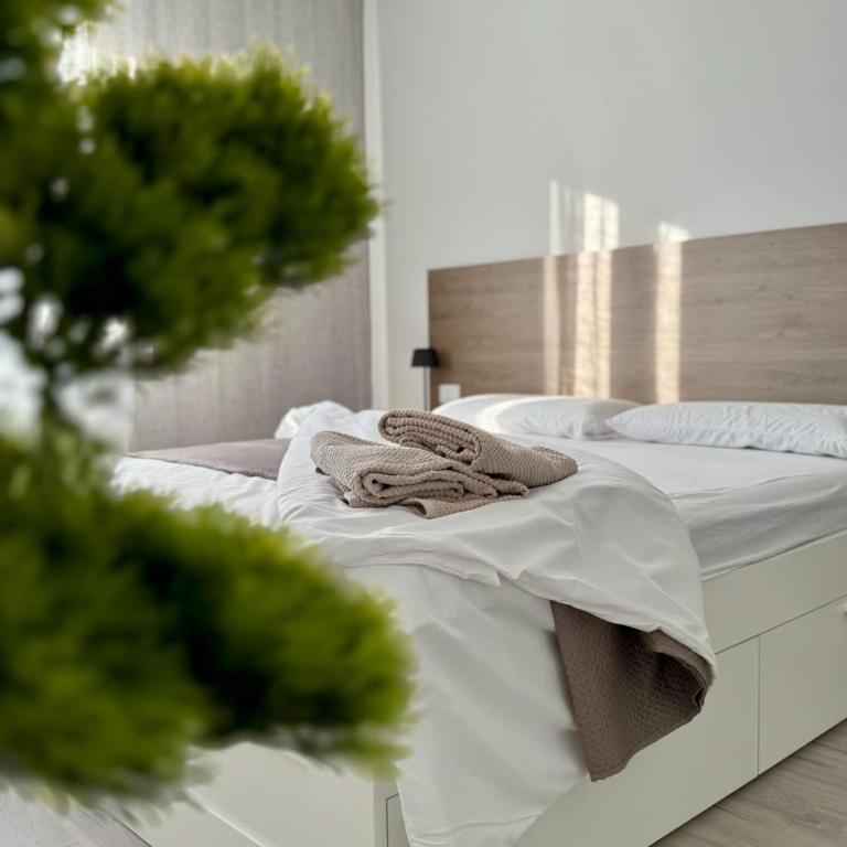 Dolce Risveglio - Appartamento con 2 Camere da Letto - 7