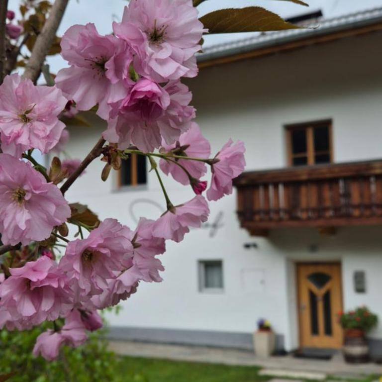 SEEBERHOF - Naturnaher Bauernhof-Urlaub im Ahrntal - Appartamento con 2 Camere da Letto - 22