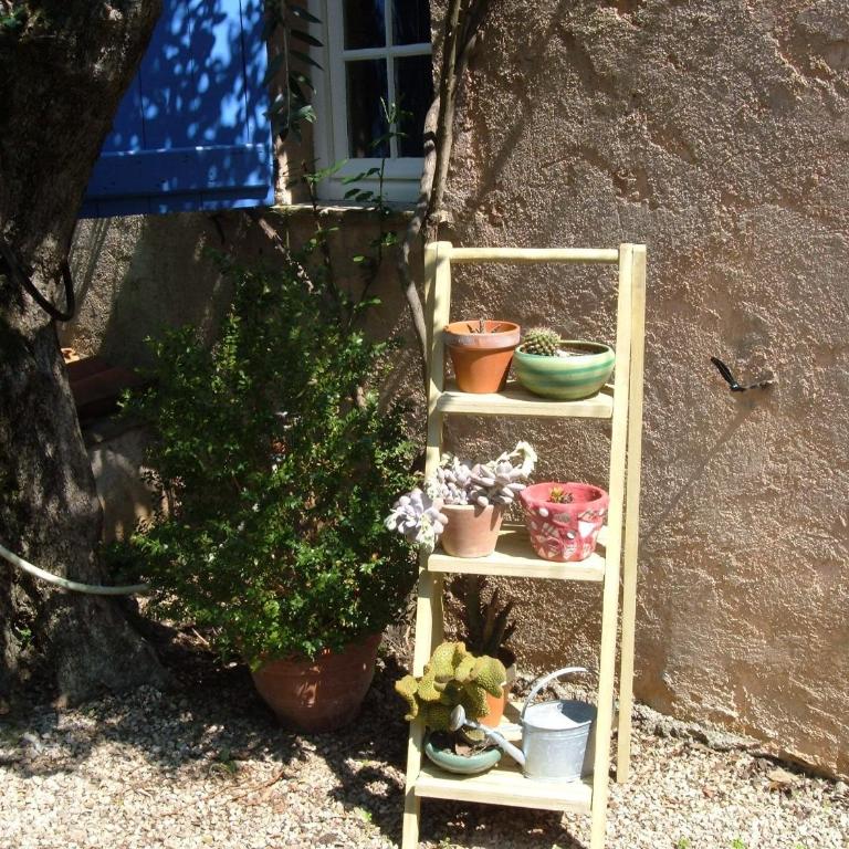 Il bambù - Apartment mit 1 Schlafzimmer - 14