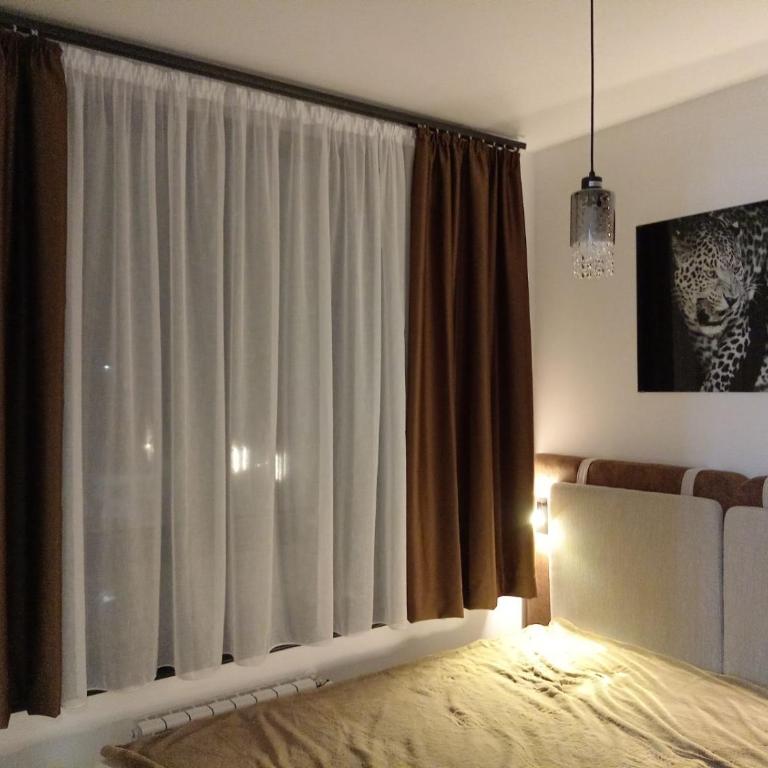 Apartman Mišić Zlatibor - Apartman sa 1 Spavaćom Sobom - 19