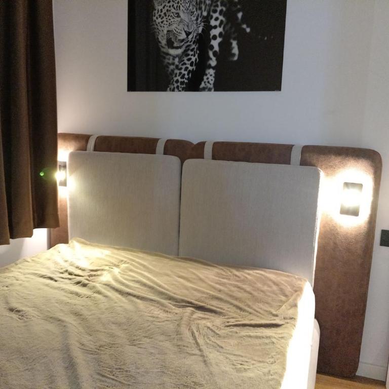 Apartman Mišić Zlatibor - Apartman sa 1 Spavaćom Sobom - 21