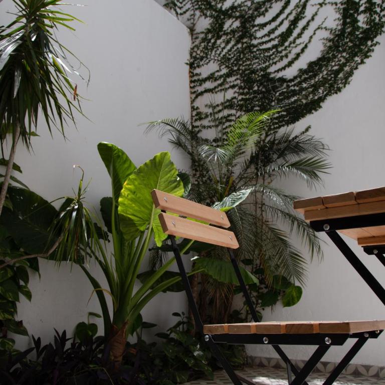 Alocasia Beautiful Apartment - Apartamento de 1 dormitorio - 10