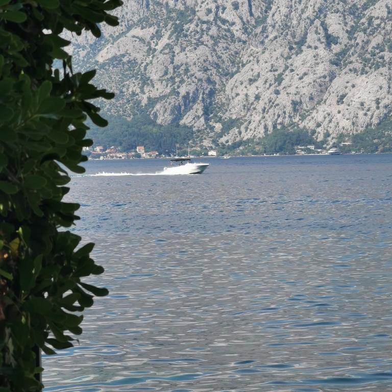 Apartman Vladan - Apartman sa 2 Spavaće Sobe - 32