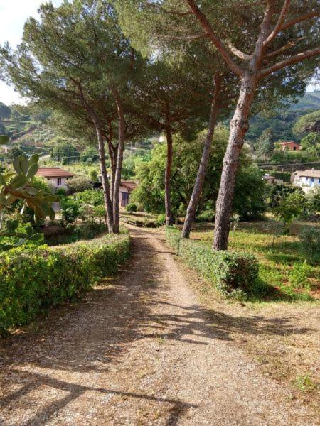 ELBAdAMARE - Casa Pergola - Casa con 3 Camere da Letto - 35