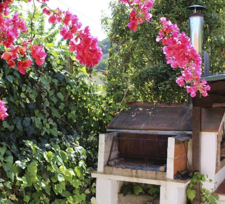 ELBAdAMARE - Casa Pergola - Casa con 3 Camere da Letto - 34