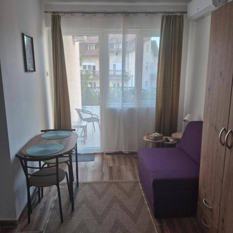 Vila RUŽA - House of Roses - Studio with Terrace - 5