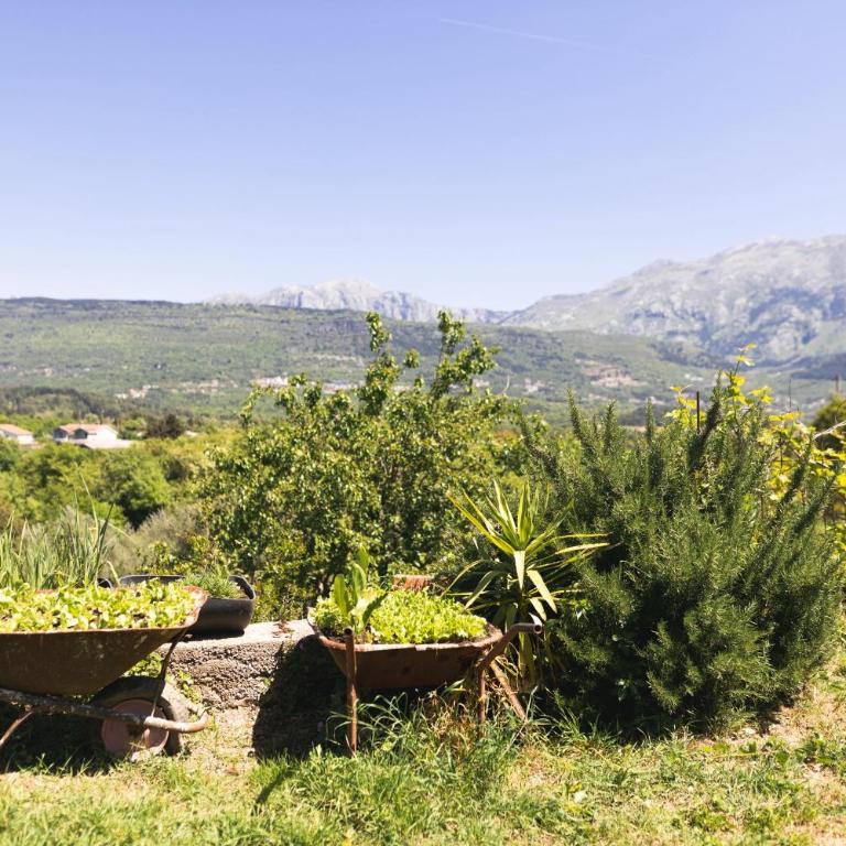 Green Harmony - Apartman - 20