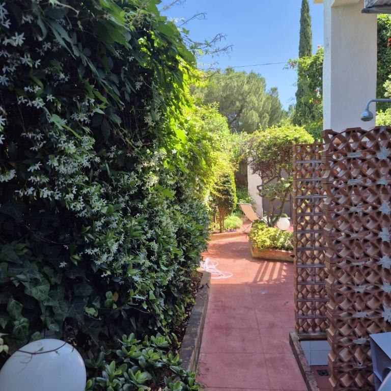 Casa Pitea - Three-Bedroom Villa - 14