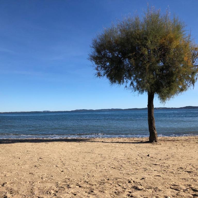 Moderne - Terrasse - Proche plages - Appartement 2 Chambres - 20