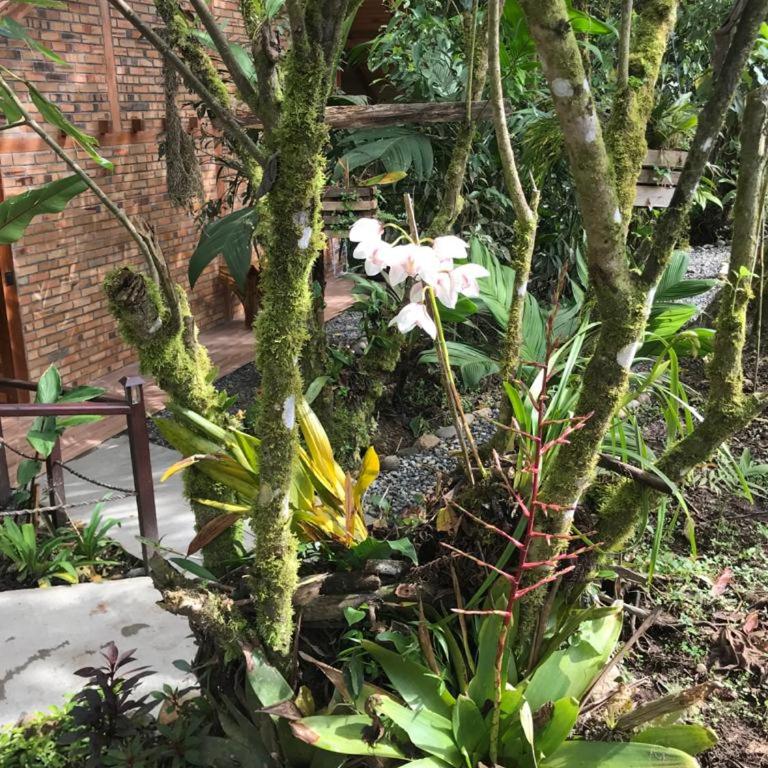 Cabaña "Los Cedros", Sumak Cabañas - Two-Bedroom Villa - 35