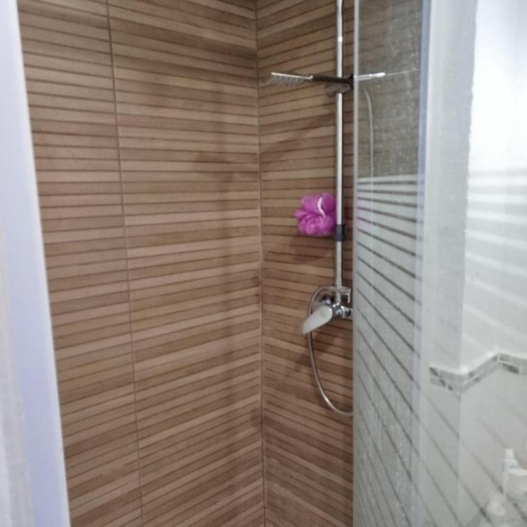 appartement 56 m2 et grande terrasse 30m2 - Appartement 2 Chambres - 9