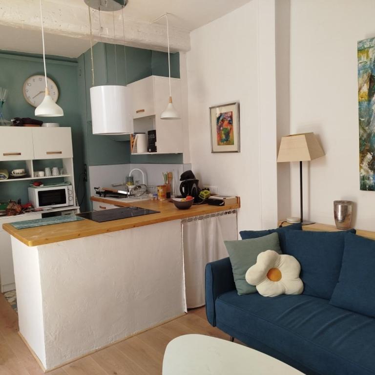 appartement 56 m2 et grande terrasse 30m2 - Appartement 2 Chambres - 10