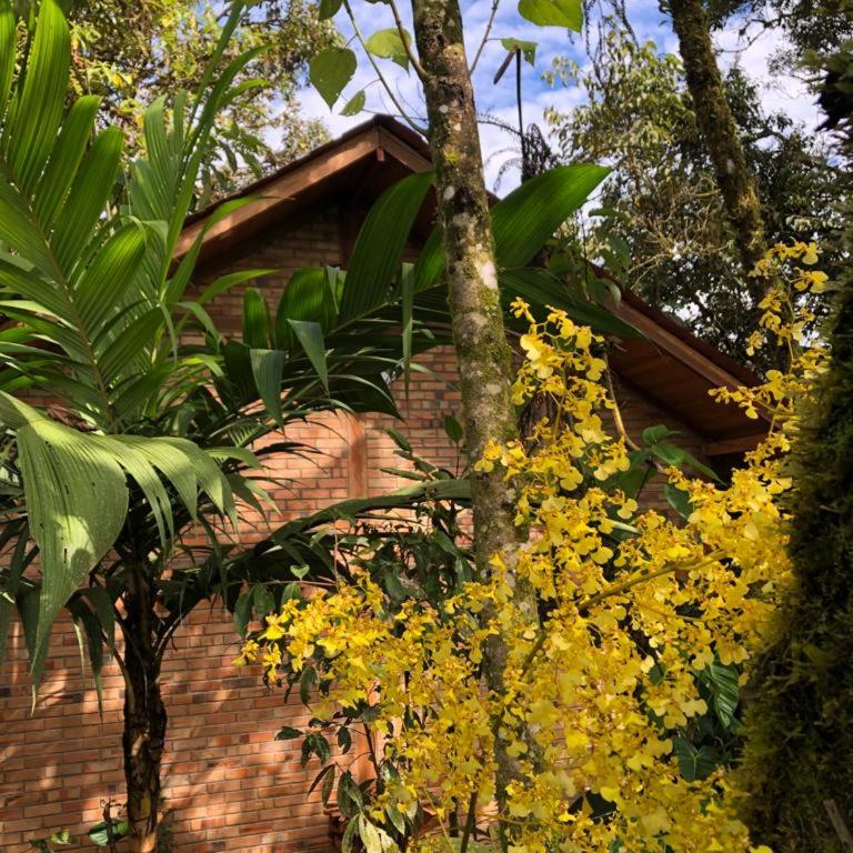 Cabaña "Los Cedros", Sumak Cabañas - Two-Bedroom Villa - 46