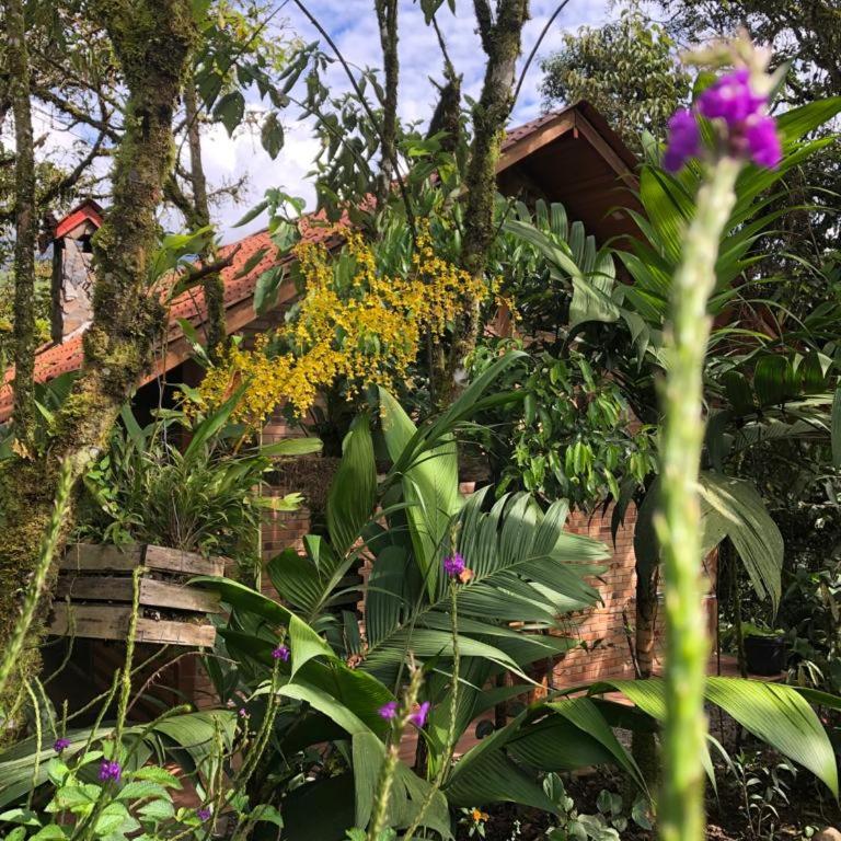 Cabaña "Los Cedros", Sumak Cabañas - Two-Bedroom Villa - 32