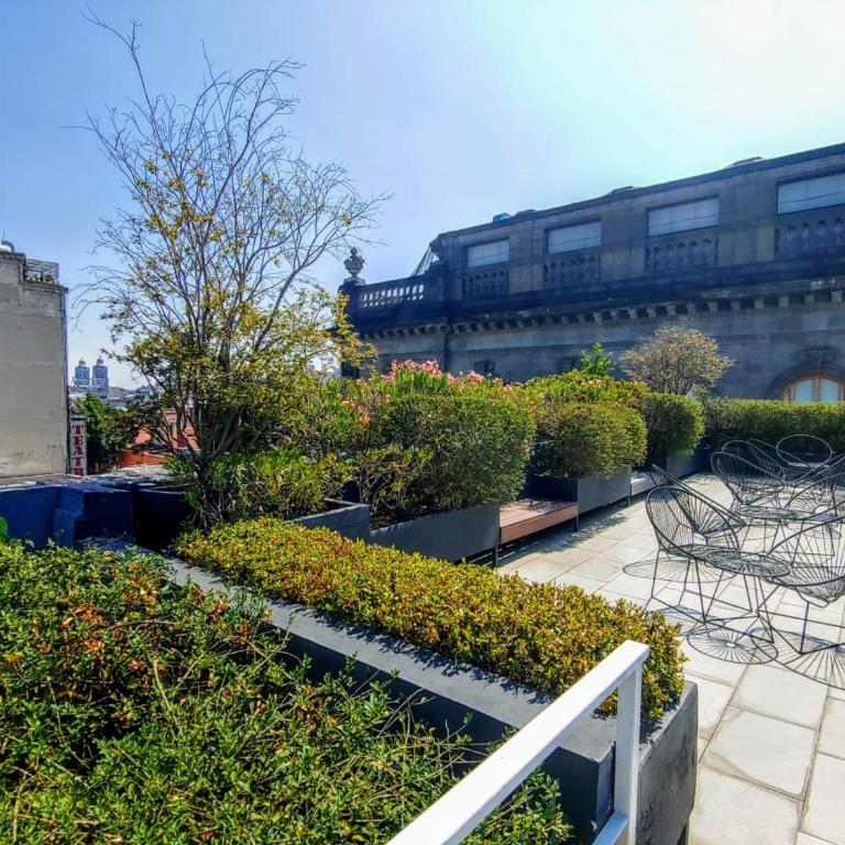 Loft Downtown CDMX Reception & luggage - One-Bedroom Apartment - 11