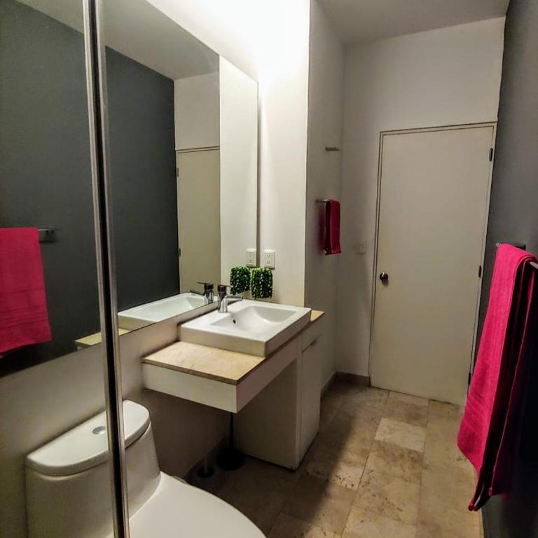 Loft Downtown CDMX Reception & luggage - One-Bedroom Apartment - 13