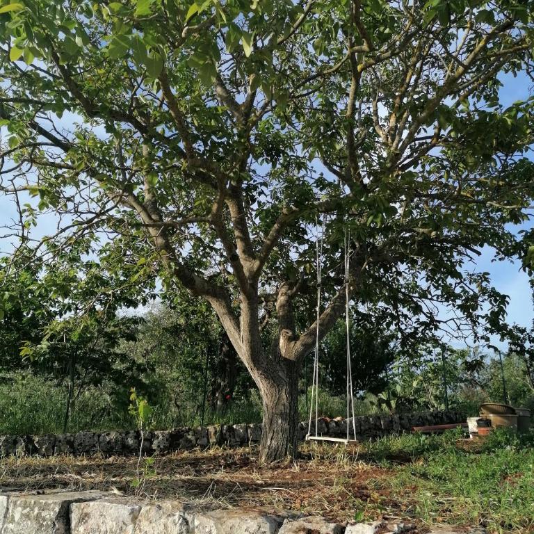 Antichi Saperi - Villa con piscina Cisternino - Villa con 2 Camere da Letto - 15