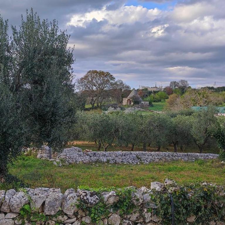 Antichi Saperi - Villa con piscina Cisternino - Villa con 2 Camere da Letto - 39