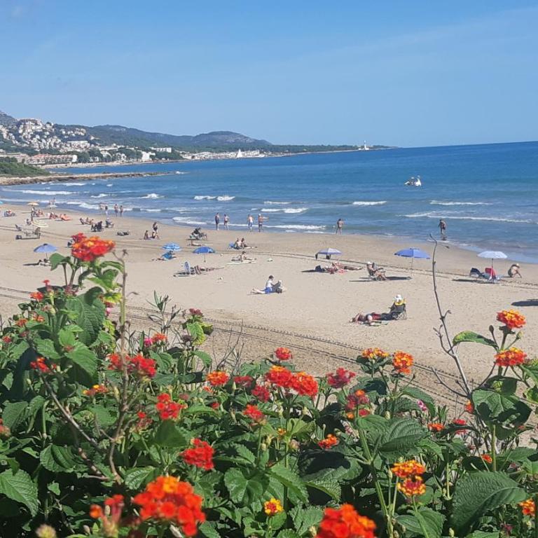 Playa Romana - Two-Bedroom Apartment - 30