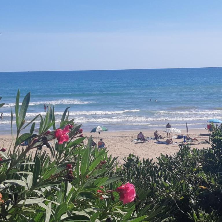 Playa Romana - Two-Bedroom Apartment - 31