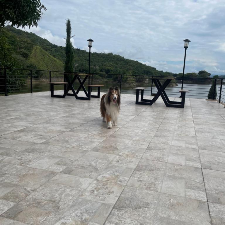 Santa Elena Lake House - Casa - 23