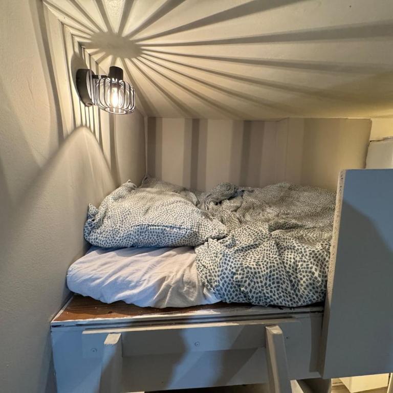 Tiny Flat hyper centre rue de bourgogne - Appartement 1 Chambre - 3