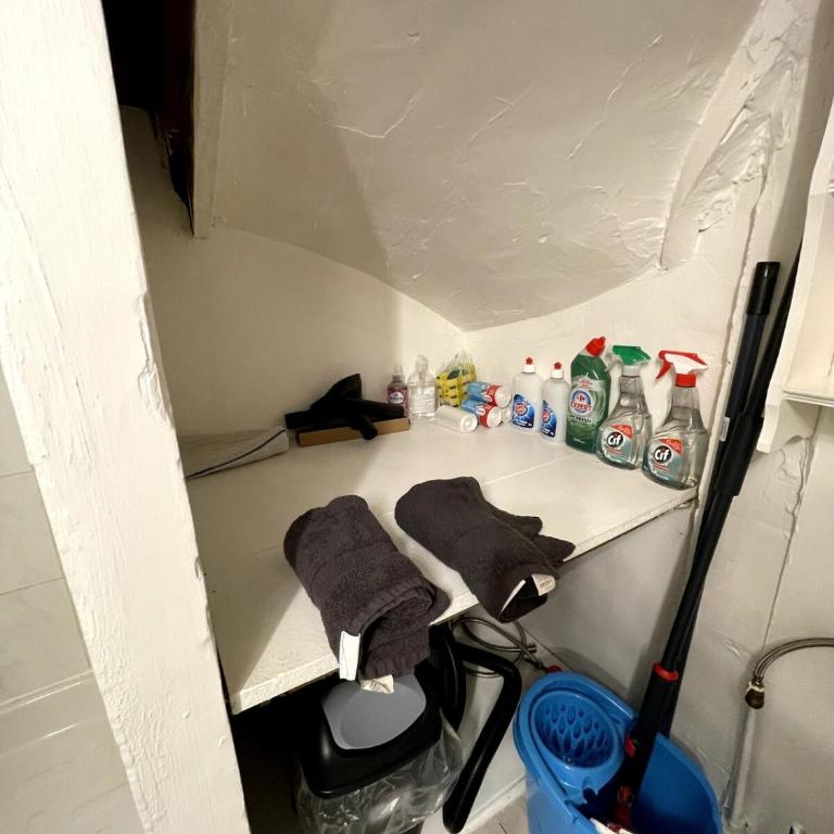 Tiny Flat hyper centre rue de bourgogne - Appartement 1 Chambre - 13