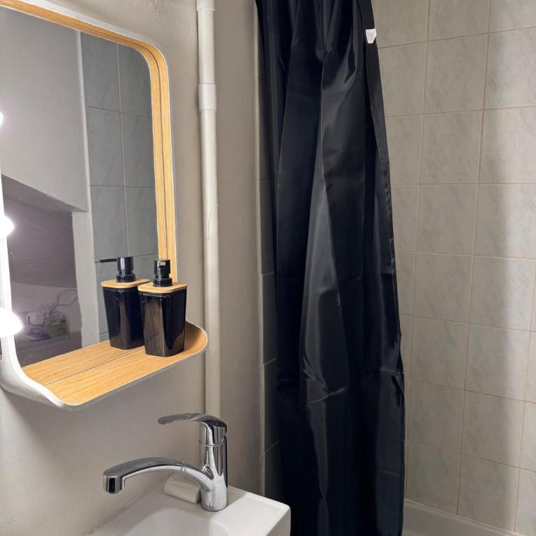 Tiny Flat hyper centre rue de bourgogne - Appartement 1 Chambre - 15