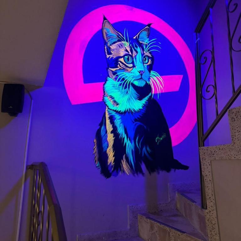 Gato Neon Hostel - Habitación Doble - 5