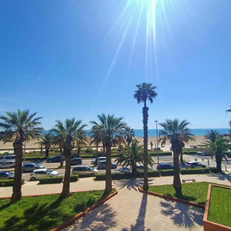Canet-en-Roussillon: T2 5 pers, vue mer, proche plage - FR-1-794-109 - Apartment - 19