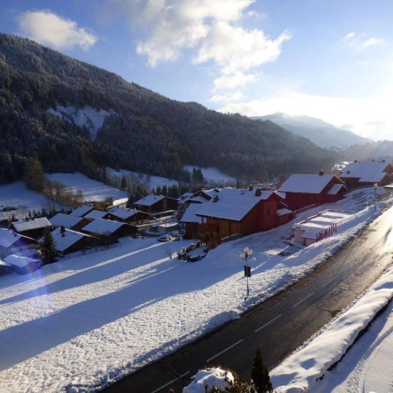 Charmant appartement 6 pers avec balcon sud au Grand-Bornand - FR-1-458-222 - Apartamento - 13