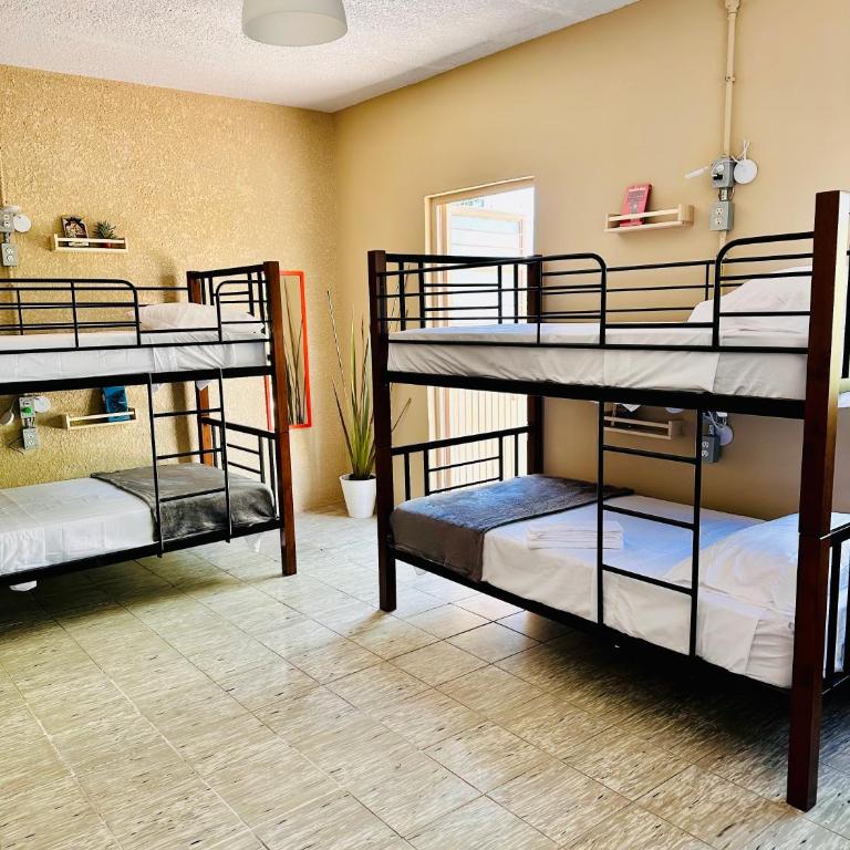 Casa Artemisa hostal - Bed in 8-Bed Mixed Dormitory Room - 18