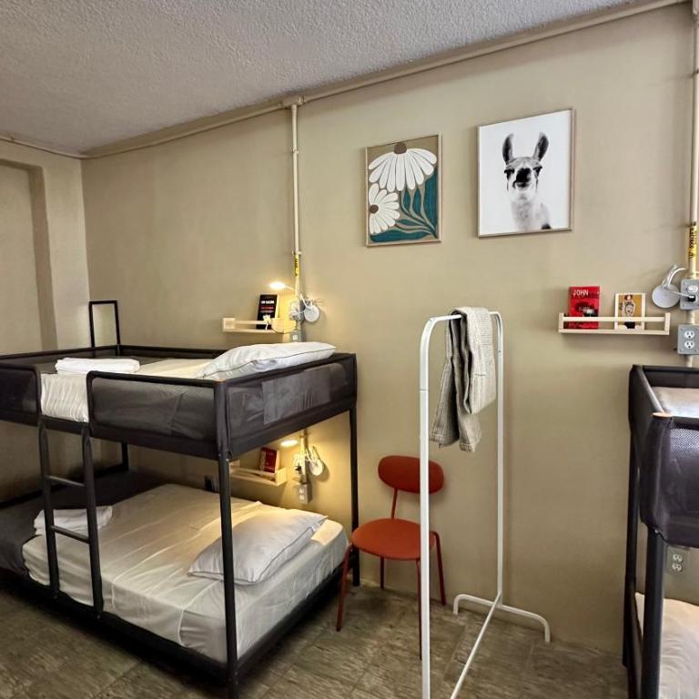 Casa Artemisa hostal - Single Bed in Female Dormitory Room - 2