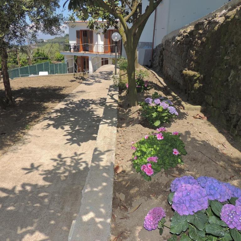 Johanna’s house - Casa con 2 Camere da Letto - 47